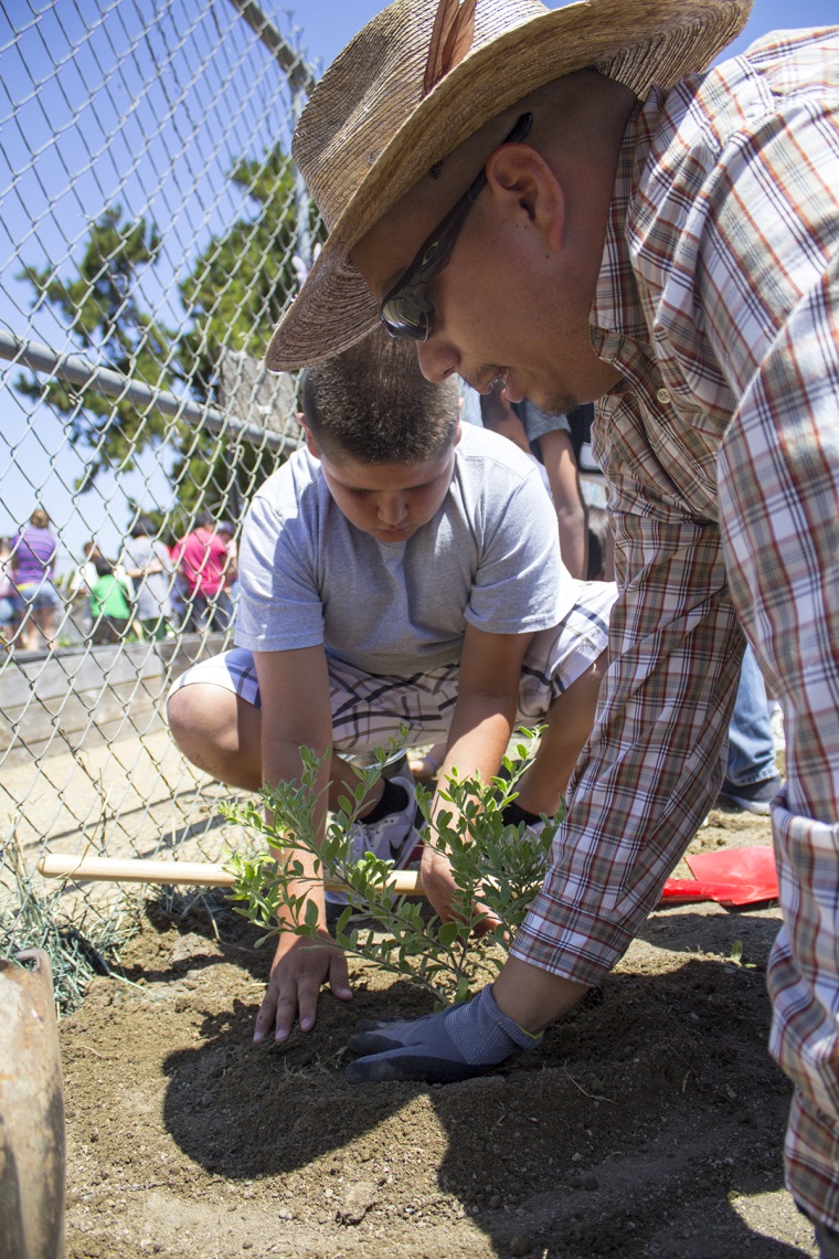 South Bay Botanic Gardens Contributes Plants and Talent to New Student Garden